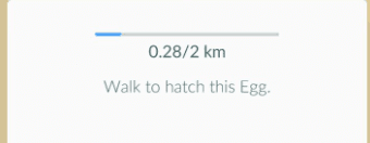 Hatch-Poke-Eggs-Walking