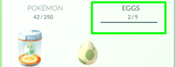 Hatch-Pokemon-Eggs-walking